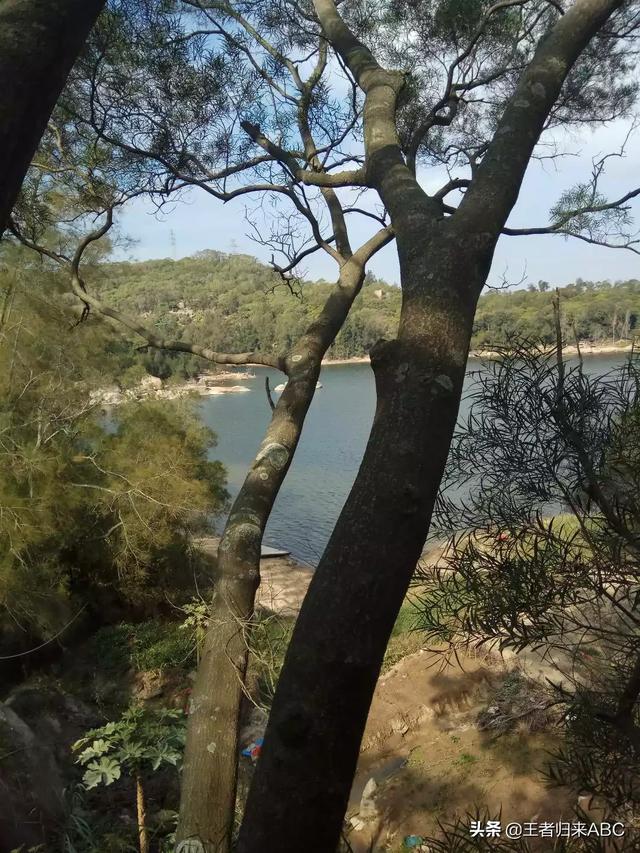 厦门航空mf8221哪个座位风景最好？