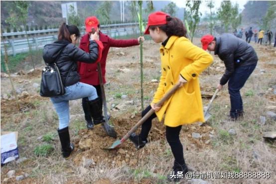 一年四季什么时候除草-一年四季什么时候除草最好