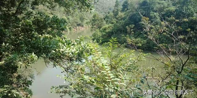 旅游专业学生特点,旅游专业学生特点分析