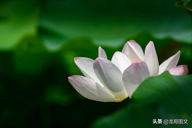 大家照片后期修图都是用什么软件