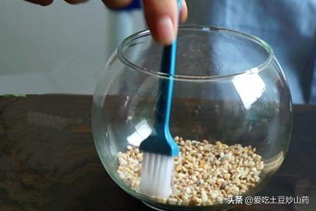 青苔如何防(青苔怎么根除)