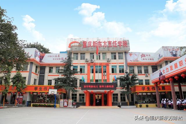 学厨师要多少钱，在新东方学厨师要多少钱