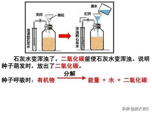 阅读空气2攻略 阅读空气steam-第1张图片-春华游戏网