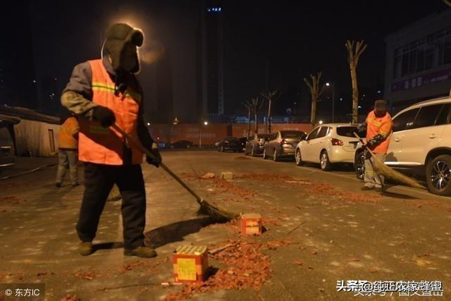 甘肃临洮花卉?甘肃临洮花卉基地参观!