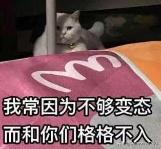 穿越小说中穿越成刚生下的婴儿的有哪些？游戏仙落凡尘