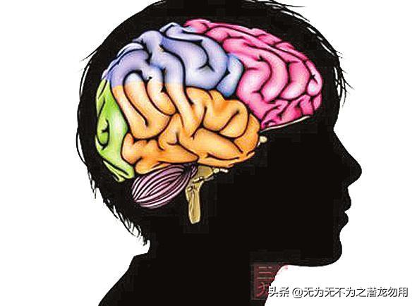 记忆力不好怎么能增强记忆力(图7)