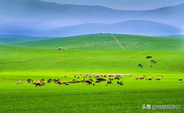 最美大草原风景图片-最美大草原风景图片高清