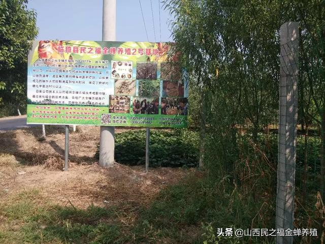 亿大利饲料-亿大利饲料集团公司