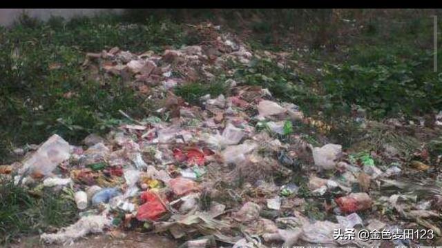 公职人员半夜偷豆角违法吗