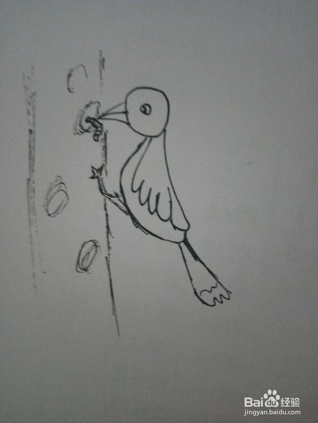 小鸟的家简短故事（小鸟的家100个字）