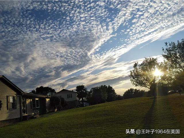 海外生活自助，海外生活自助app