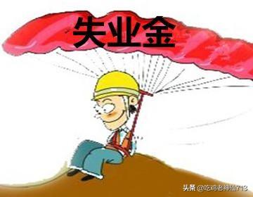 15年潍坊失业金标准是多少 潍坊失业保险金领取条件是什么？潍坊失业保险？