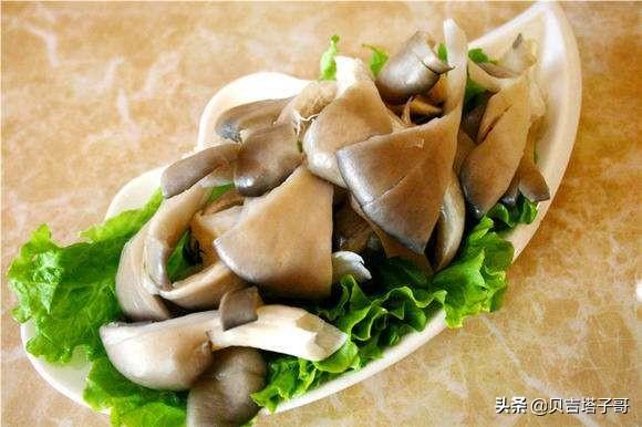 鲜蘑_鲜蘑的功效与作用