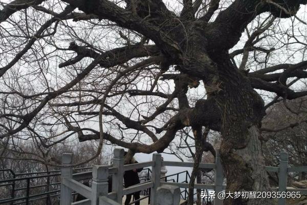 旅游景点大全焦作， 河南焦作旅游景点