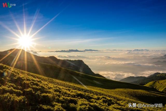 考研数学真题答案