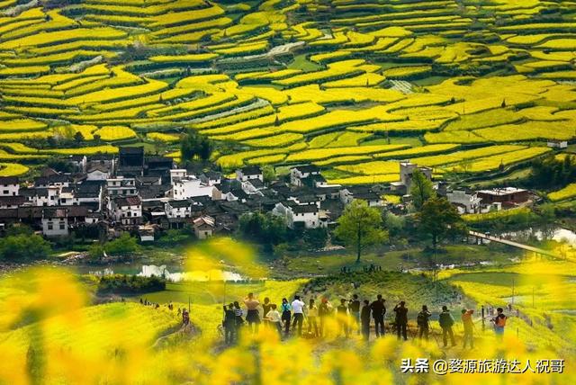 婺源旅游攻略路线， 黄山婺源旅游攻略路线