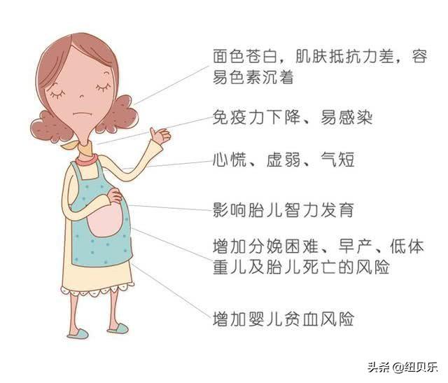 女人缺铁性贫血怎么补