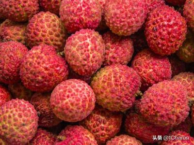 吃荔枝后 酒驾怎么处罚
