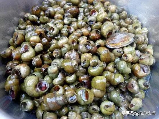 重庆大发饲料公司招聘-重庆大发饲料公司招聘信息