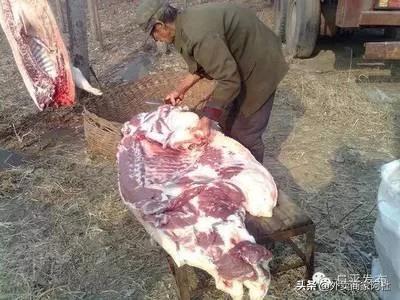 猪肉不放盐好吗怎么吃(图7)
