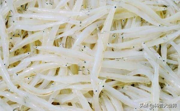 鄂资b股-鄂资b股股吧