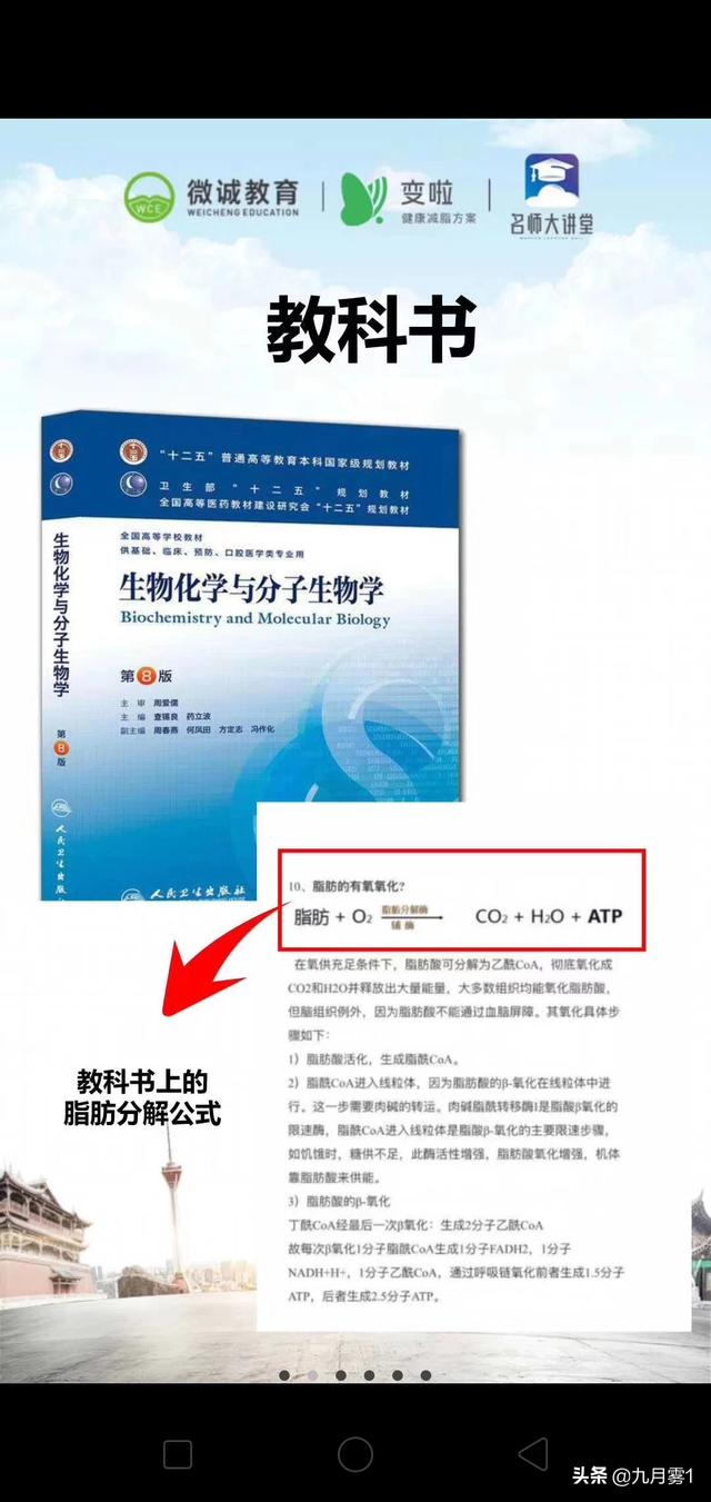 减肥最好的鸡蛋怎么吃(图48)