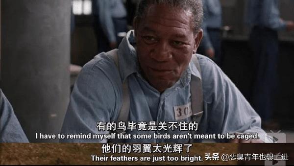 有什么好的电影好看啊,第8张