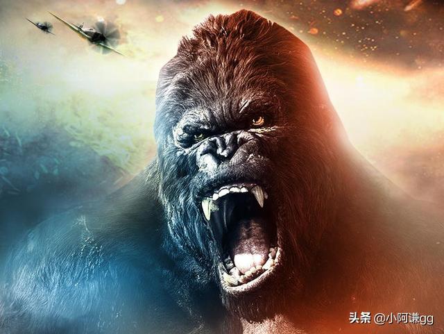 金刚2金刚复活在线观看（金刚2之金刚复活在线观看）