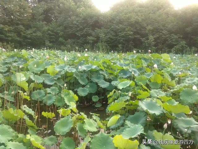 徐州附近景点自驾游，徐州附近景点自驾游路线