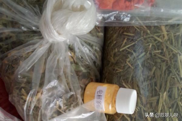 如何给荷兰猪兔子宠物做草饼的制作方法自制草饼