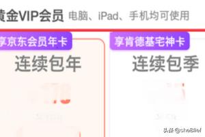爱奇艺vip爱奇艺vip可以几个人一起使用