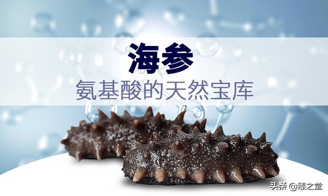 海参有什么特点和功效(图5)