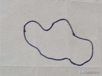 荷花的照片荷花的照片真实图片