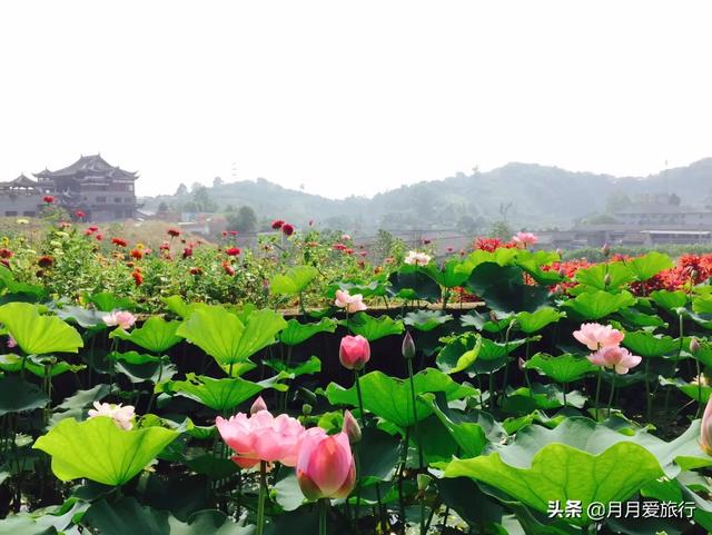 旅游汽车资讯，旅游汽车资讯网站