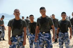 军事题材的电视剧_军事题材的电视剧推荐