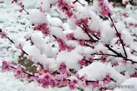 冯延巳鹊踏枝全诗翻译（冯廷巳鹊踏枝）