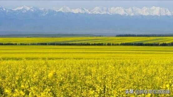 大理大妈旅游攻略路线， 大理大妈旅游攻略路线图