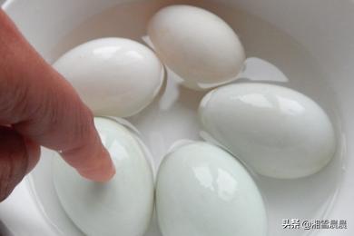 怎样腌制咸鸭蛋-怎样腌制咸鸭蛋的最简单方法