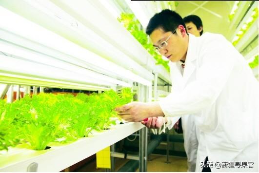 种植员招聘信息，种植员招聘信息怎么写