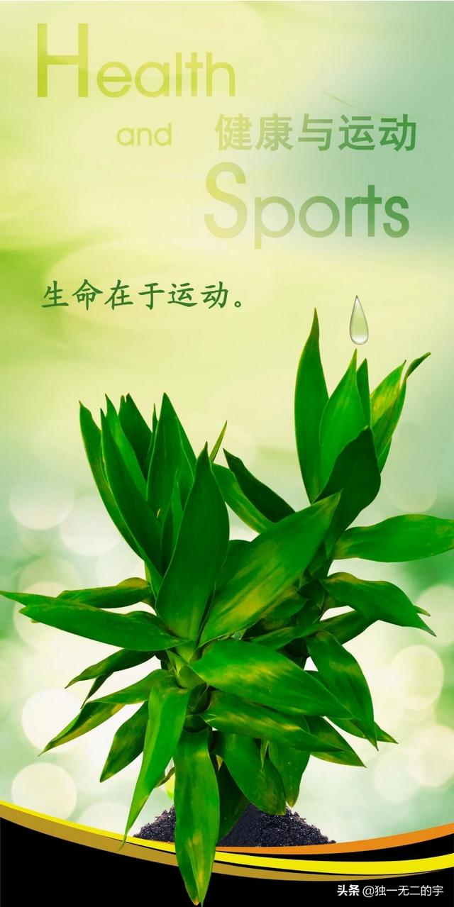 人瘦了会变漂亮吗,第6张