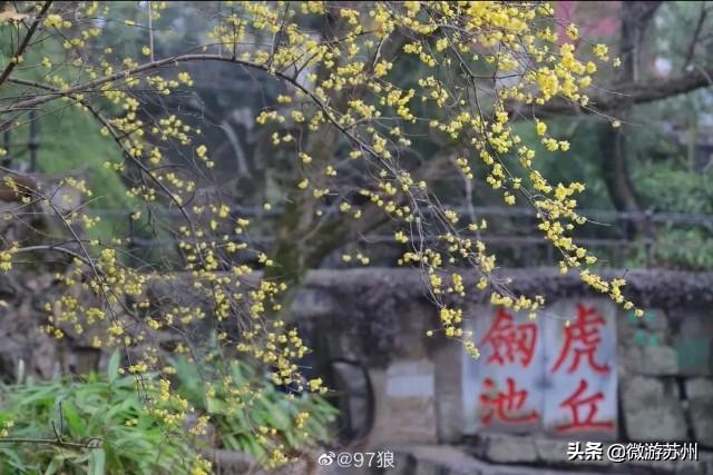 虎丘山风景名胜区-虎丘山风景名胜区门票