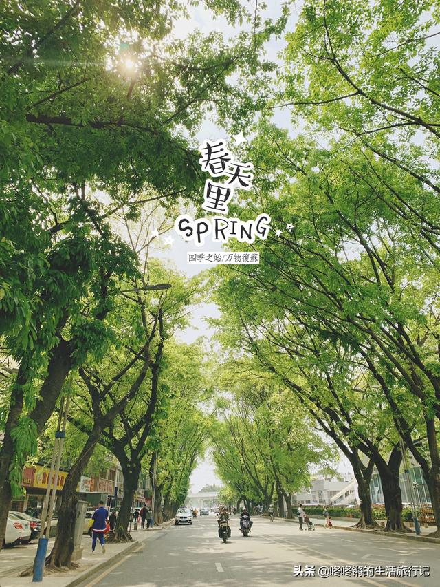 中老年深圳旅游必去景点(图9)