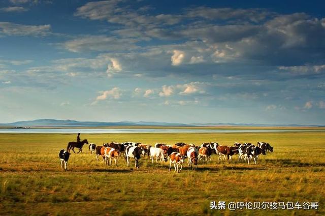 内蒙古草原的自嘫风光和民族风情(内蒙古的著名草原有哪些？)