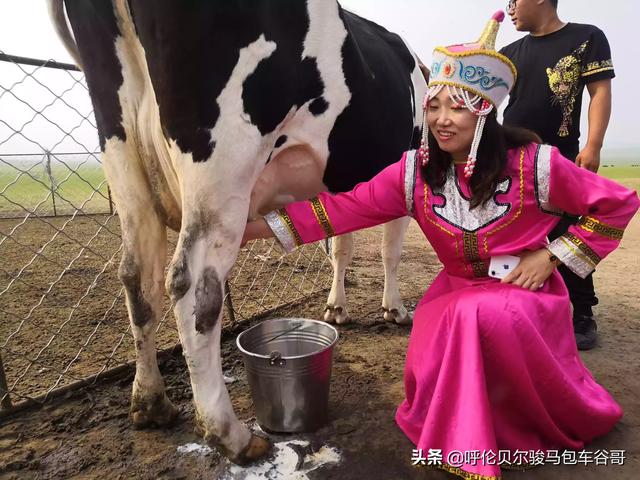 丰宁坝上草原景点门票价格， 丰宁坝上草原景点门票价格多少