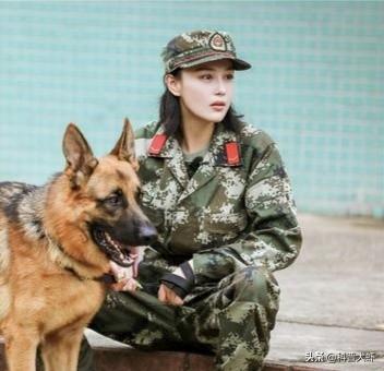 神兵奇犬(如何评价《奇犬神兵》第二季？)