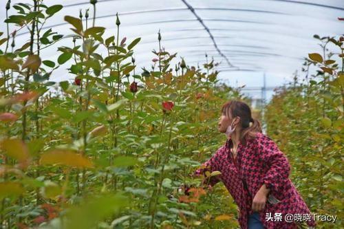 在家里如何赚钱，在家里如何赚钱在家赚钱的十种方法