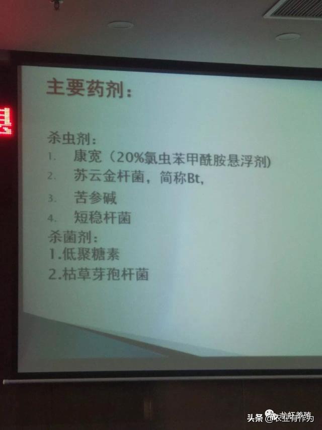 农业养殖小龙虾稻谷鱼，农业养殖小龙虾稻谷鱼怎么养