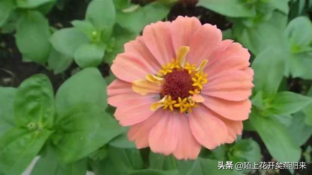 [女烈受刑]心里过不去的坎，该如何解脱？