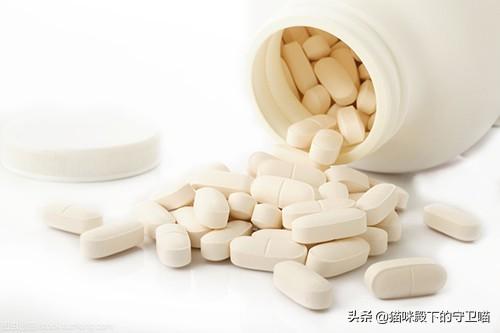 怎么训练宠物不挑食吃(图8)