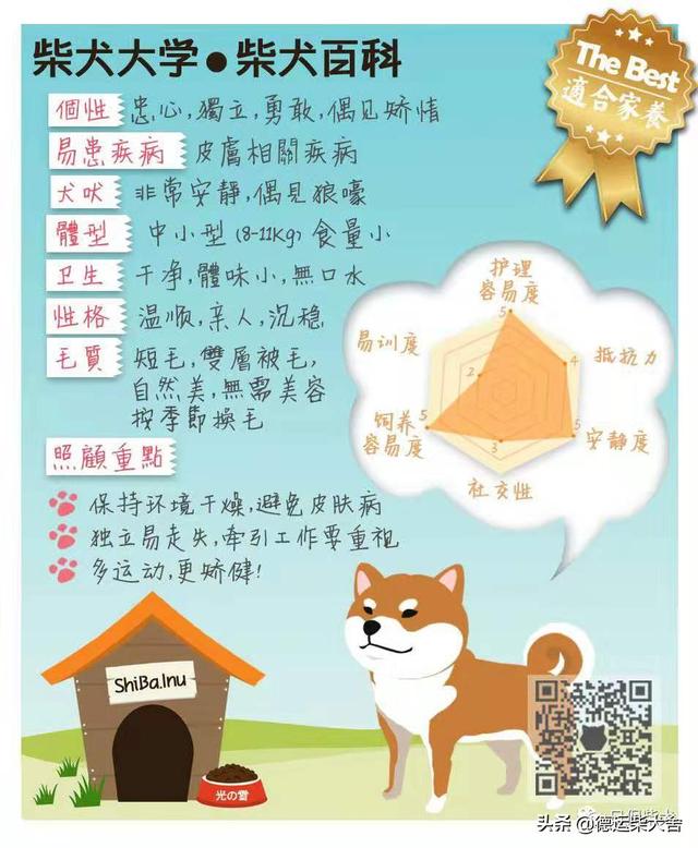 养土狗一百只一年利润和成本多少 家里狗狗生了7只小狗？
